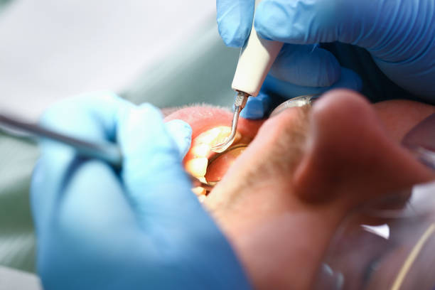 Best Emergency X-Rays and Diagnostics in Camp Barrett, VA